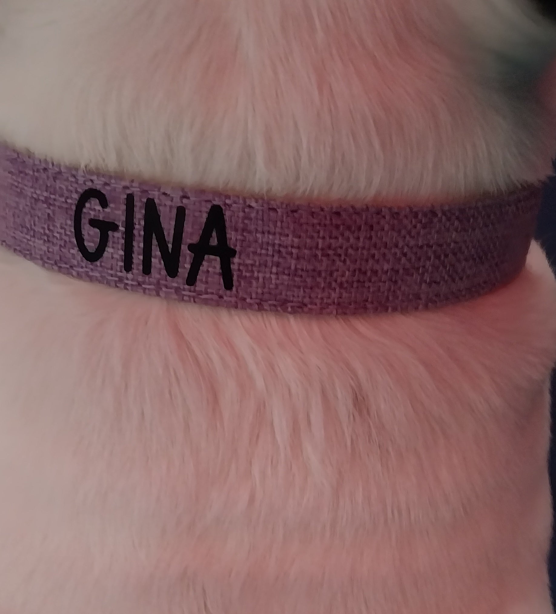 Personalized Hemp Dog Collar and Leash Set