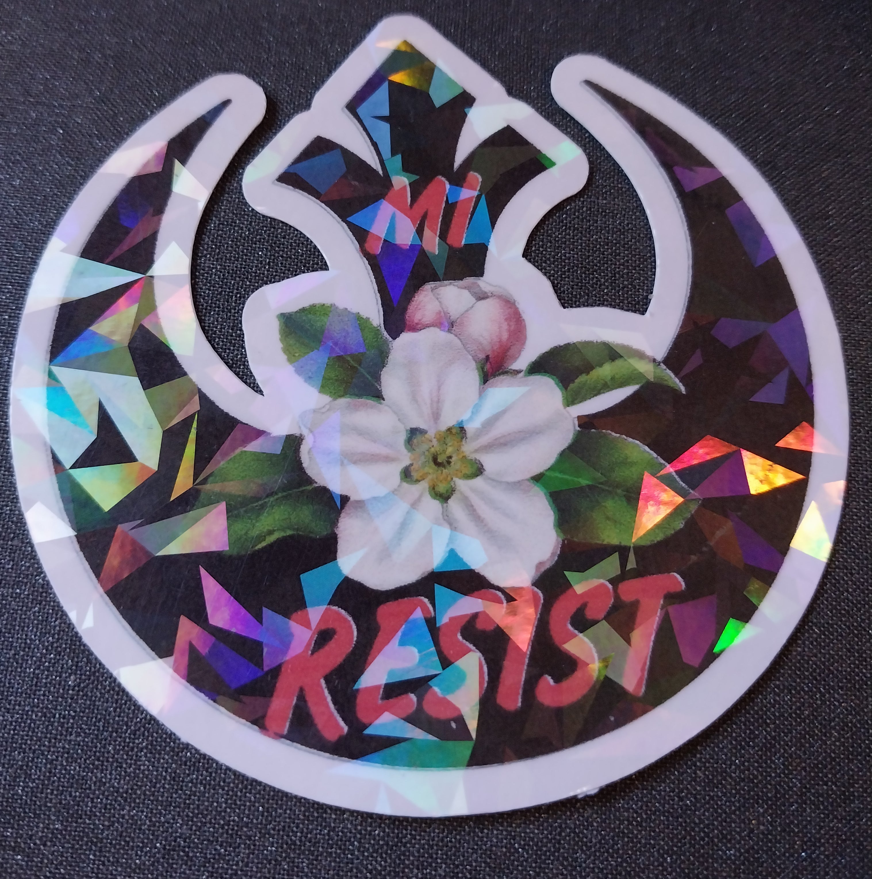 UNITED STATES - RESIST