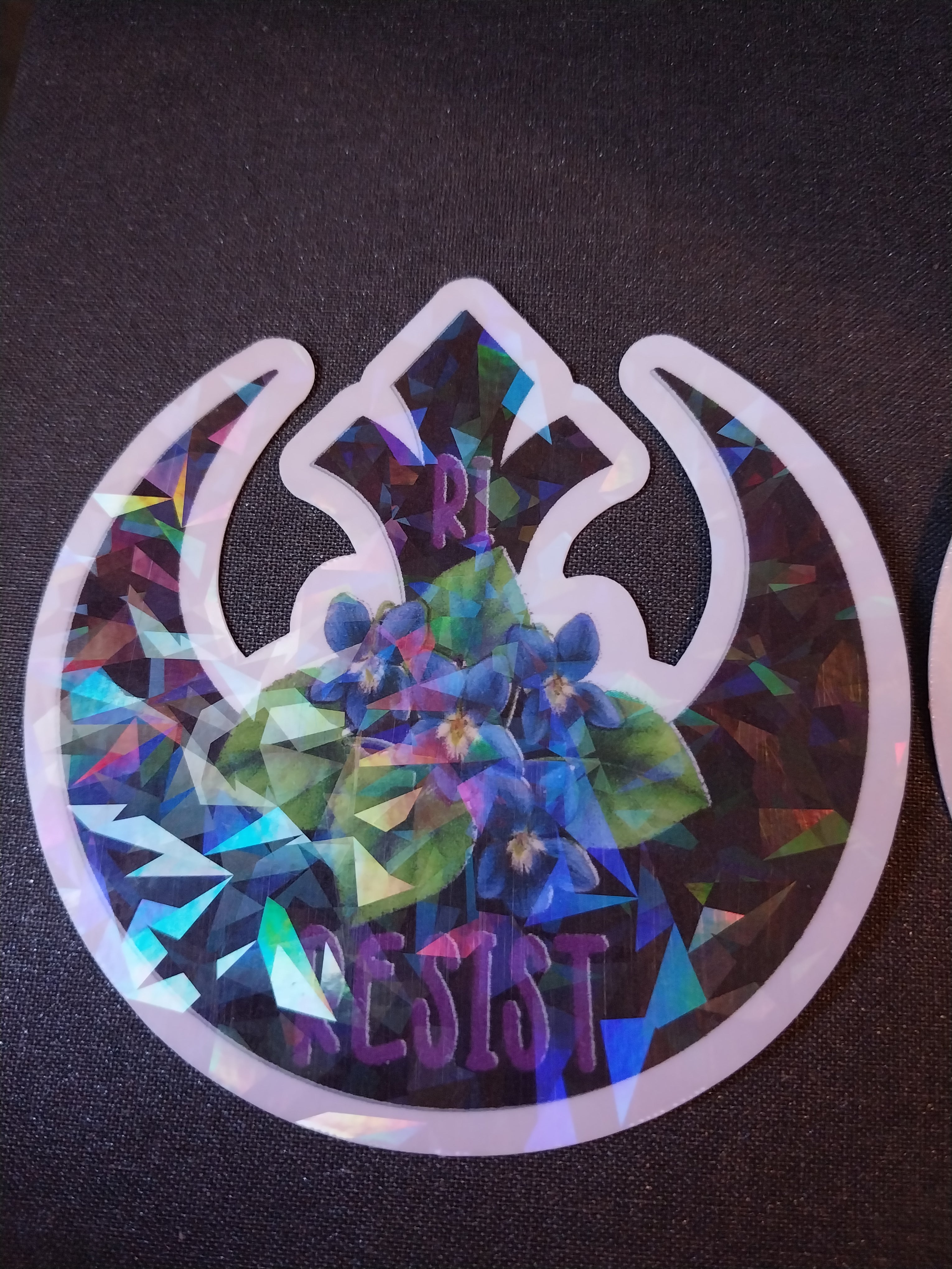 UNITED STATES - RESIST