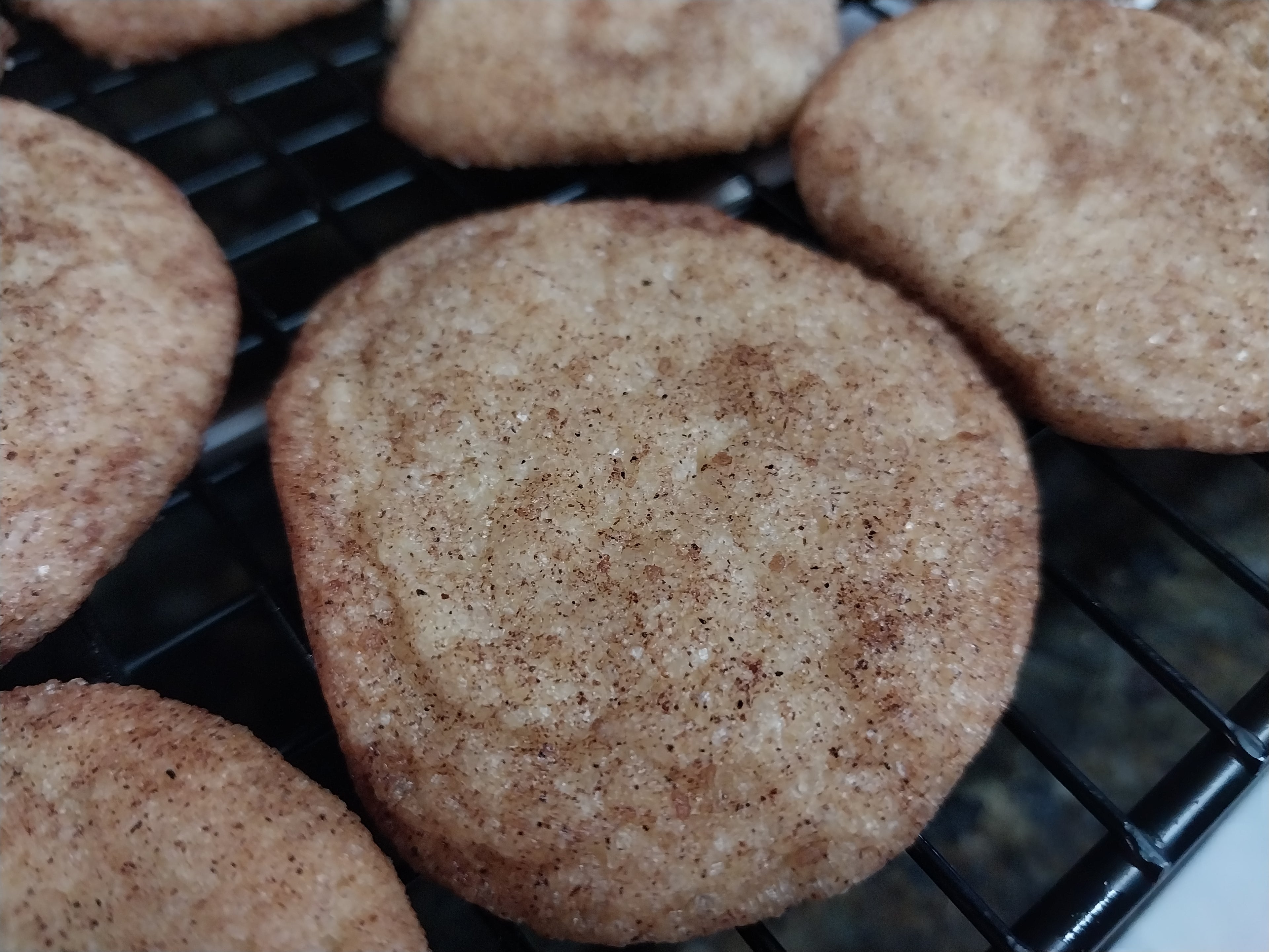 Orion's Spice Sourdoodles