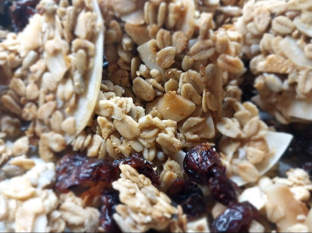 Tropical Solar Flare SD Granola